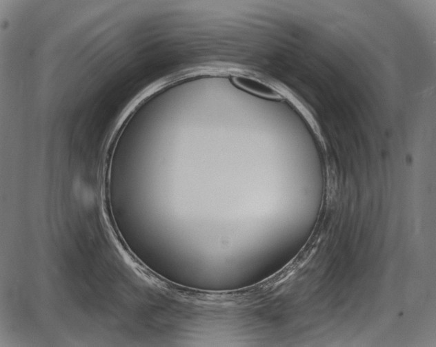X0000087700861200705040849