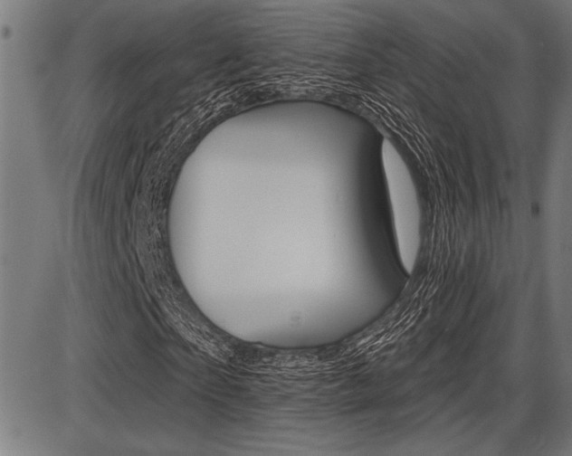 X0000087700865200705040849