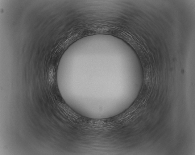 X0000087700866200705040849