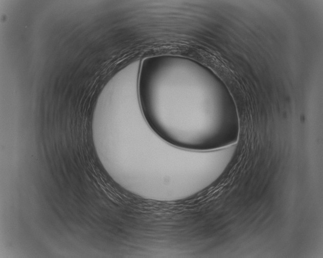 X0000087700868200705040849