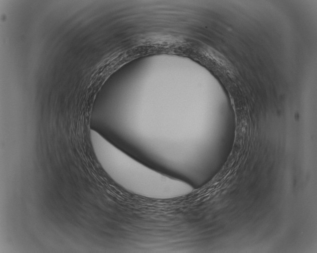 X0000087700869200705040849