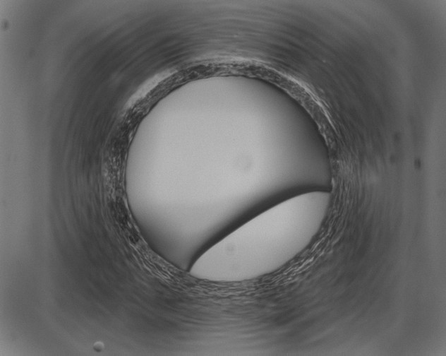 X0000087700871200705040849