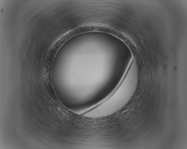X0000087700872200705040849