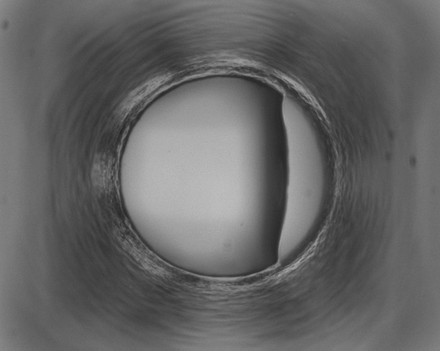 X0000087700873200705040849