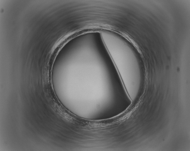 X0000087700877200705040848