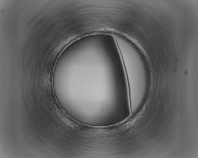 X0000087700881200705040848