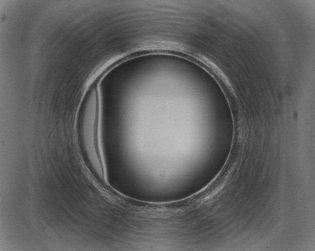 X0000087700885200705040848