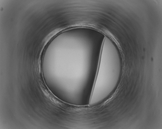 X0000087700892200705040848