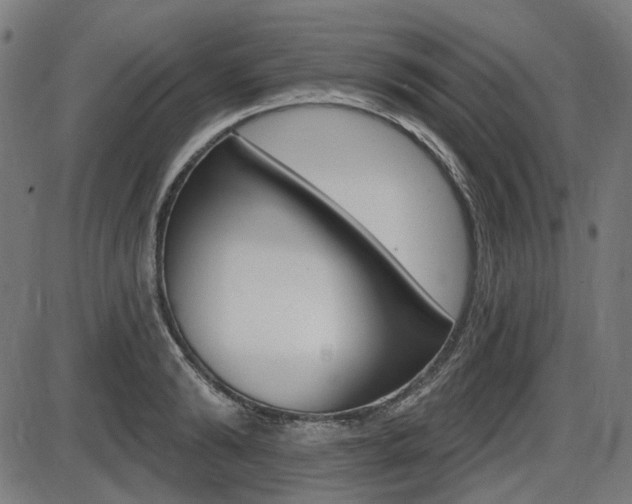 X0000087700894200705040848