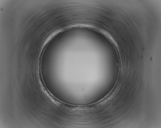 X0000087700898200705040848