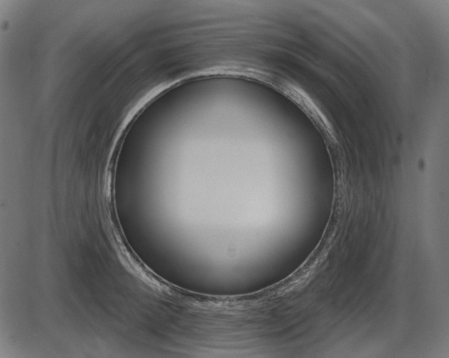 X0000087700900200705040848