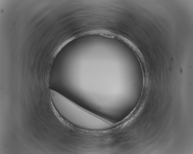 X0000087700905200705040848