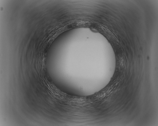 X0000087700914200705040847
