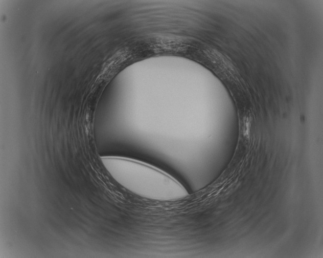 X0000087700915200705040847