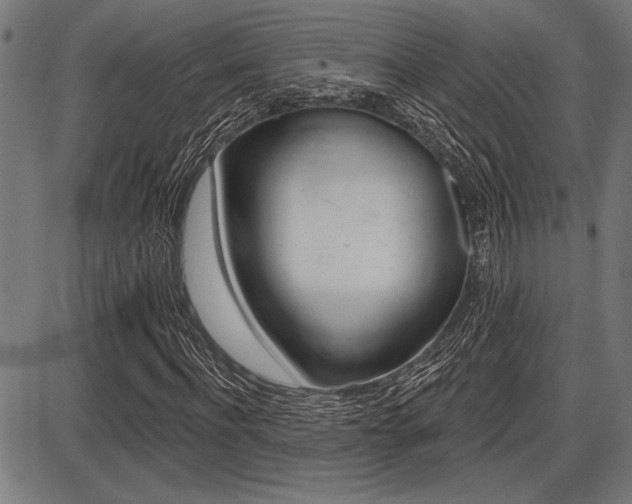 X0000087700916200705040847