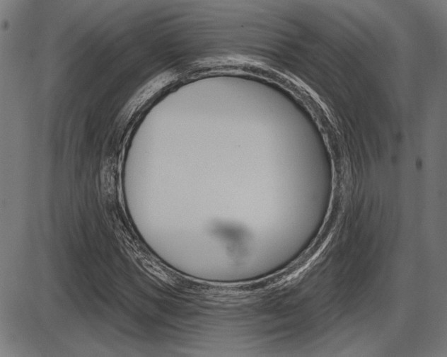 X0000087700921200705040847