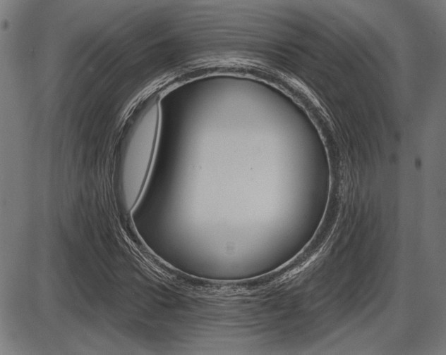 X0000087700922200705040847