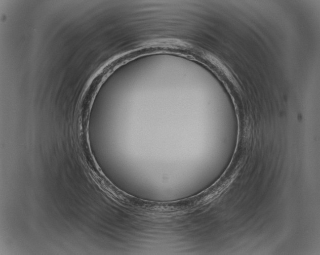 X0000087700923200705040847