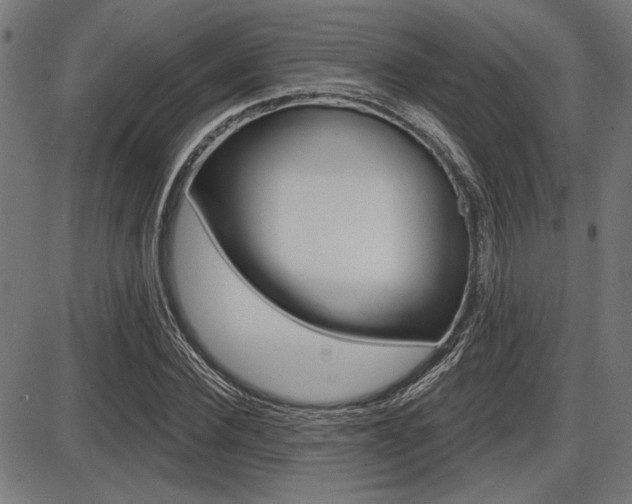 X0000087700924200705040847