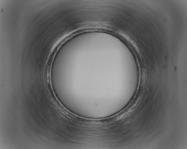 X0000087700925200705040847