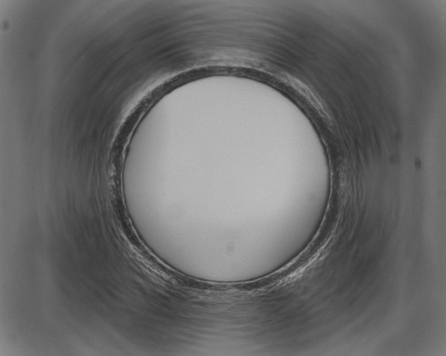 X0000087700926200705040847