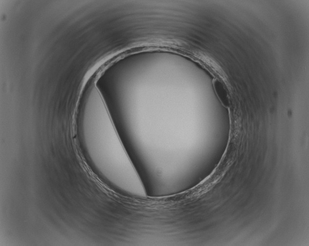 X0000087700928200705040847