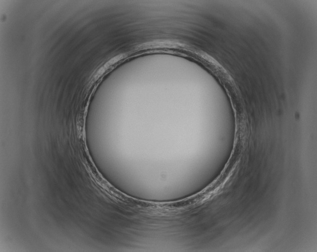 X0000087700929200705040847