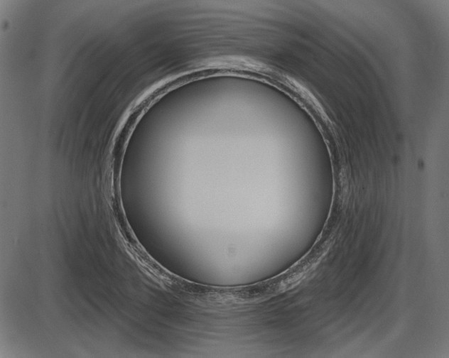 X0000087700931200705040847
