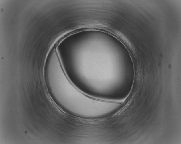 X0000087700932200705040847