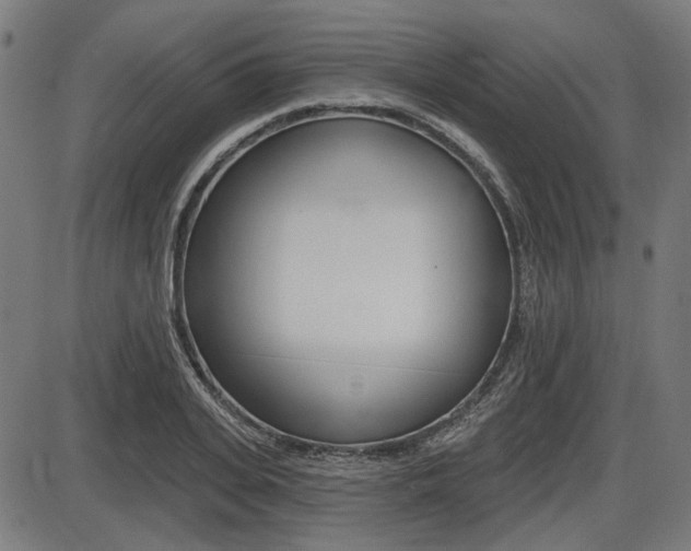 X0000087700935200705040847