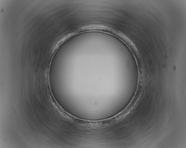 X0000087700937200705040847