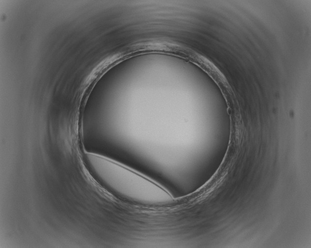X0000087700938200705040847