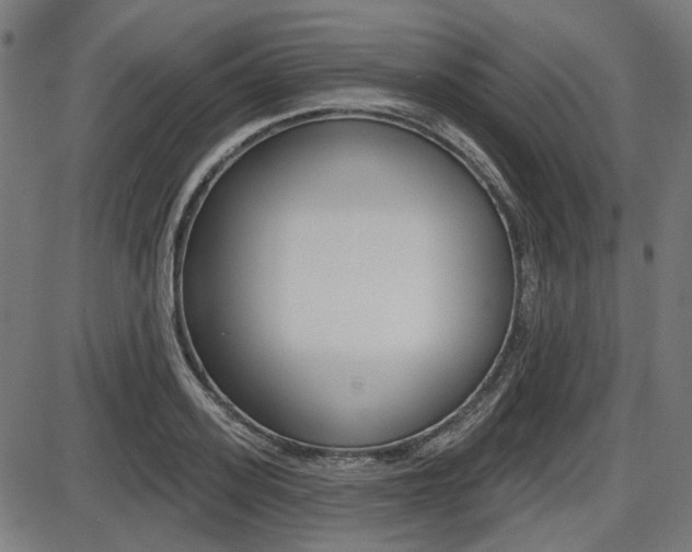 X0000087700939200705040848