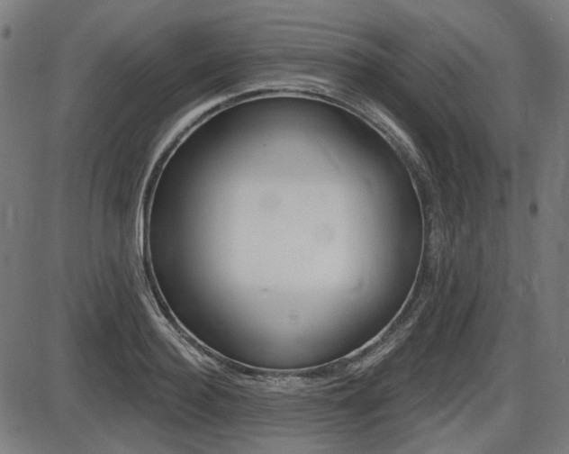 X0000087700940200705040848