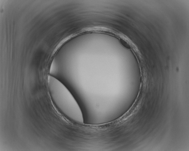 X0000087700945200705040848