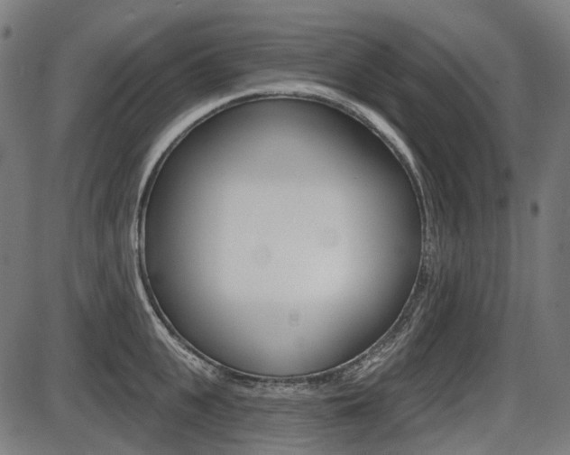 X0000087700951200705040848