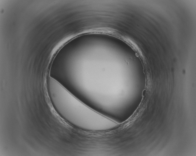 X0000087700952200705040848