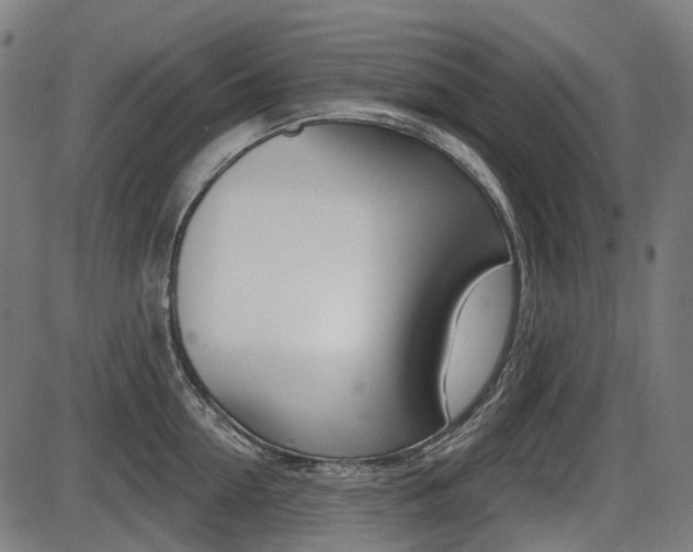 X0000087700954200705040848