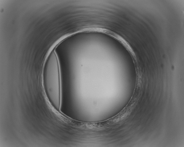 X0000087700955200705040848