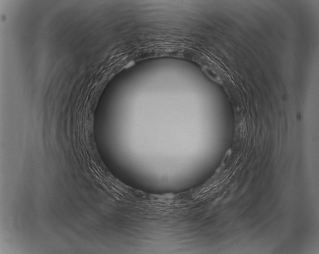 X0000087700961200705040847