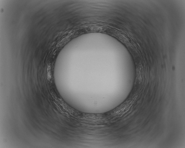 X0000087700962200705040847
