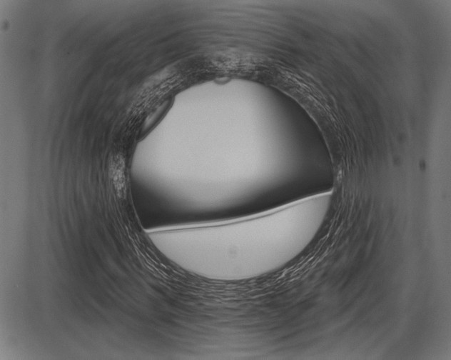 X0000087700963200705040847