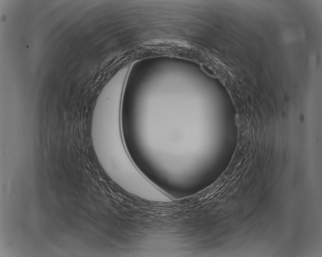 X0000087700965200705040847