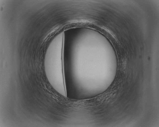 X0000087700967200705040847