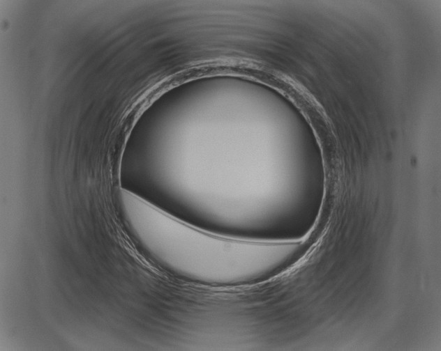 X0000087700969200705040847