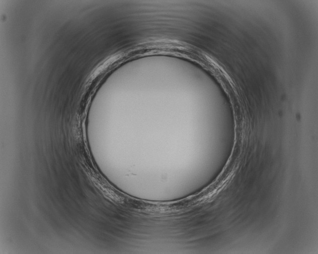 X0000087700970200705040847