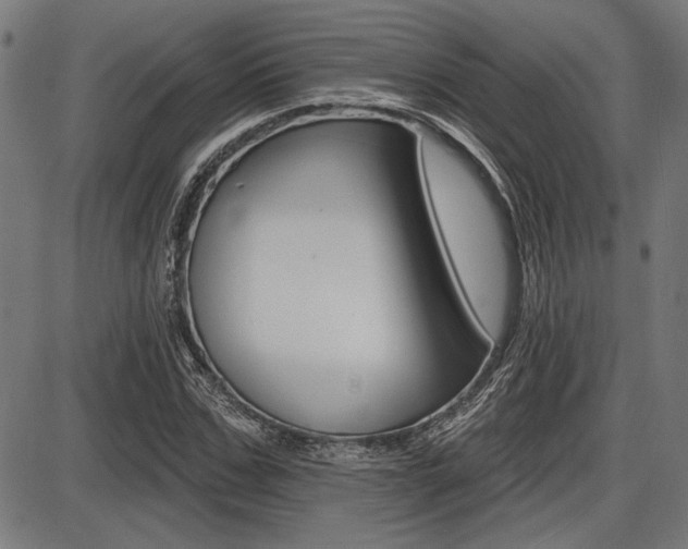 X0000087700971200705040847