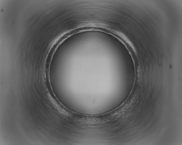 X0000087700972200705040847