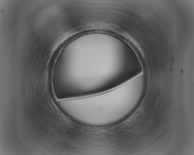 X0000087700975200705040847