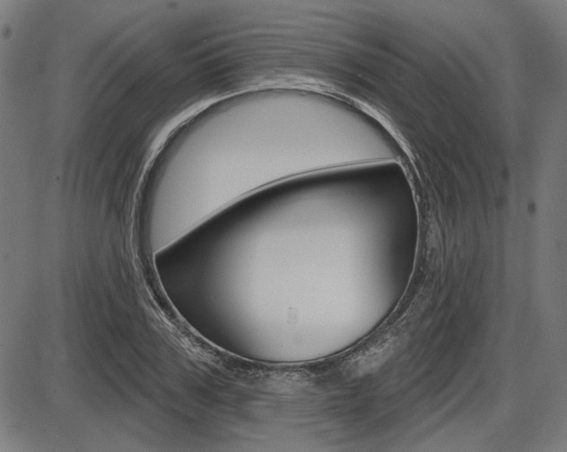 X0000087700979200705040847